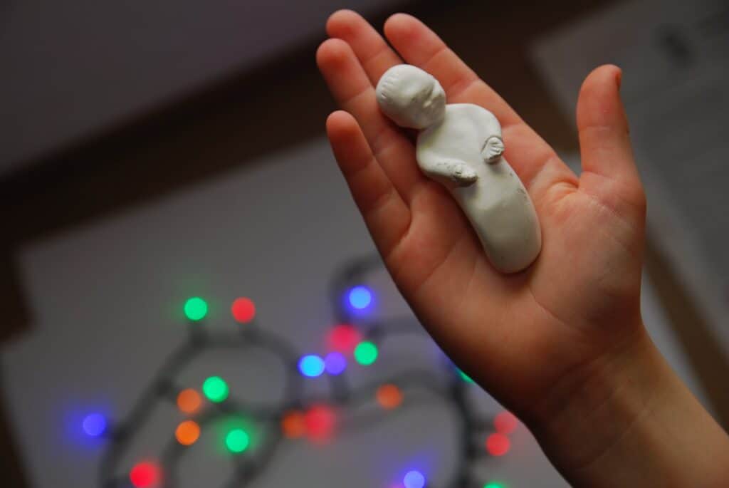 white heart ornament on persons hand